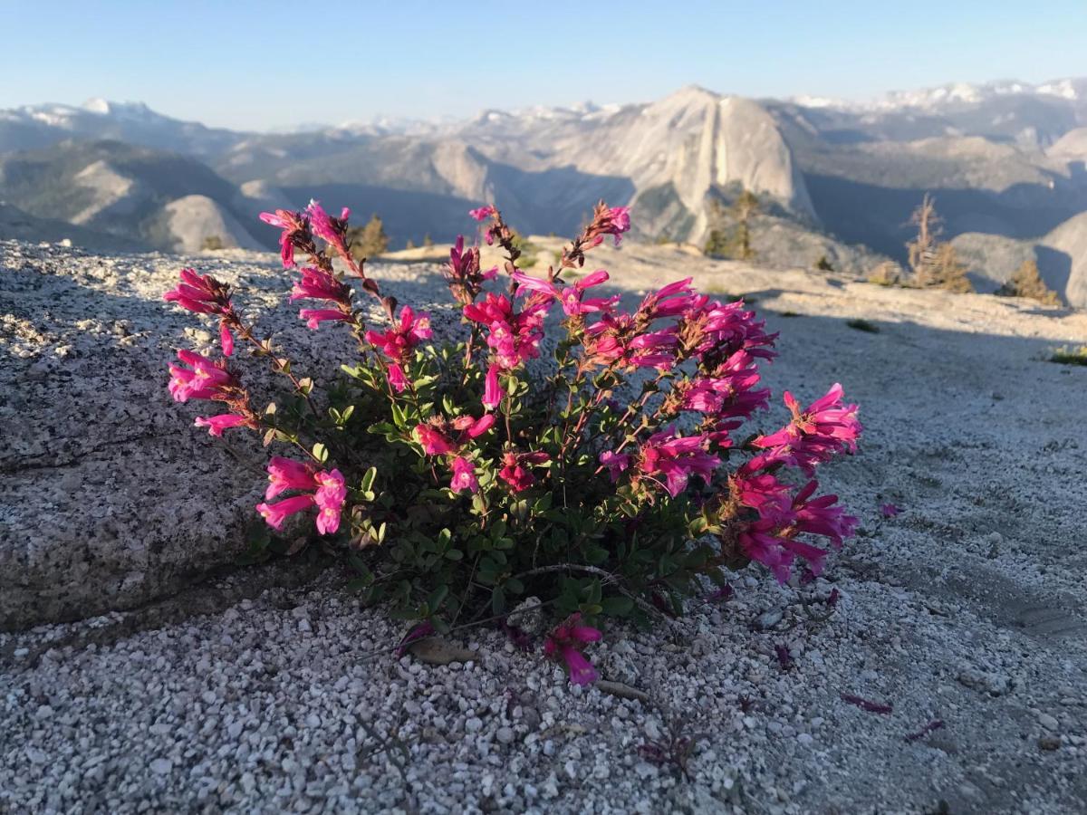 マリポサMorning Star Vista Near Yosemite - Countryside With Mountain Viewsアパートメント エクステリア 写真